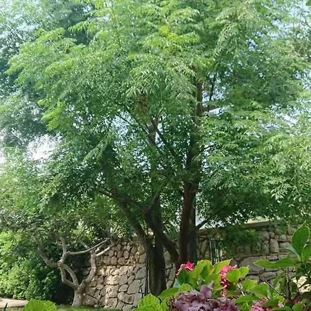 公寓 Buksa 帕格