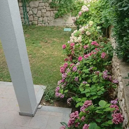 Buksa *